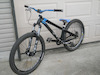 lovetodirtjump avatar