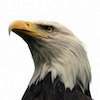 idixoni avatar