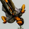 rylansalmon avatar