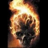 pawCI0 avatar