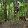 tobias-live2ride avatar
