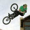 perezfreeridee avatar