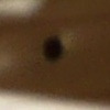 GruchaZMC avatar