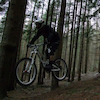 Pinkbike profile picture for @tribute