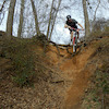 mooseman414 avatar