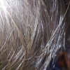 xankas avatar