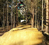 hotrodmarlin avatar