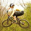 Madtific avatar