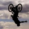 Pinkbike profile picture for @Alive