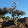kx80kid avatar