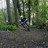anotherreece avatar