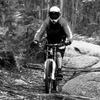 Pinkbike profile picture for @Terra