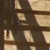 woodwardwest avatar
