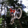 bigmoney avatar