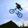 randy-002 avatar
