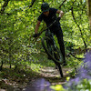 shredwurst avatar