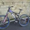 GBR-Stokesy avatar