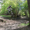 brucethomson avatar