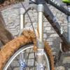 Pinkbike profile picture for @emir