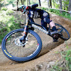 Pinkbike profile picture for @Kiran