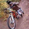 Pinkbike profile picture for @Pusher