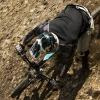 BikeWheel303 avatar