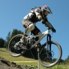 ladydownhiller avatar