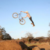 bikerolly avatar