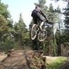 collins99 avatar