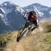 enduro106 avatar