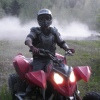 lulufritz101 avatar