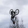 connorprice avatar