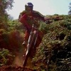 freeriderfury avatar