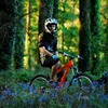 freeride-maverick avatar