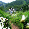 fernierider08 avatar