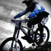 Pinkbike profile picture for @moneybags