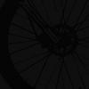 skidmarks avatar