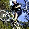 newieboy avatar