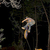julien13810 avatar