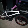 weirzy avatar
