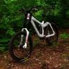 Pinkbike profile picture for @DestroyeD