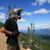 wildcard1 avatar