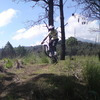 xXd1360Xx avatar