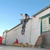 dalle-bmx avatar