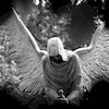 santaradix71 avatar