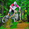 santacruzv13 avatar