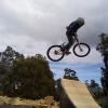 anton-specializedbikes avatar