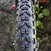 krazykxrider avatar