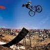 dirt-king15 avatar