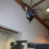 freeridemaxiking avatar